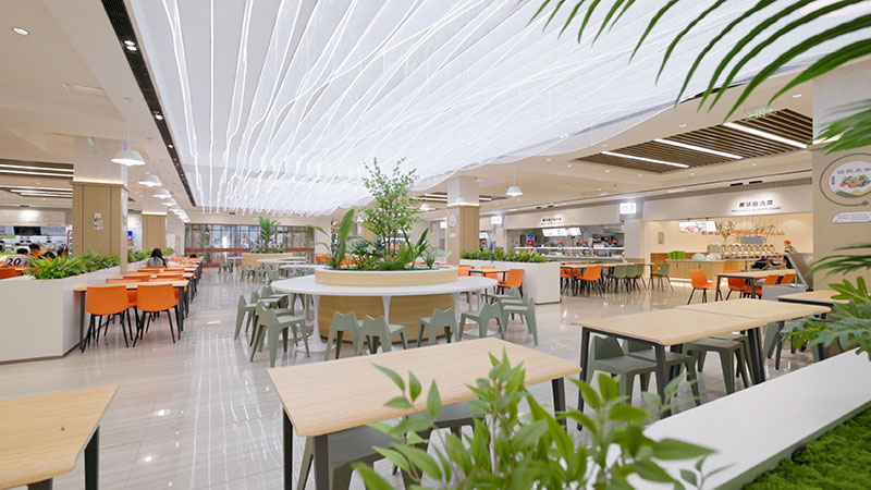 bti������(�й�)�ٷ���վAPP����